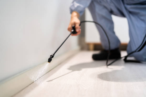 Licensed Mosquito Control service in Blue Ridge, VA - Show Me Pest Control