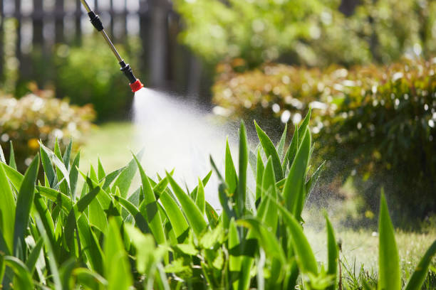 24/7 Emergency Mosquito Control experts in Blue Ridge, VA