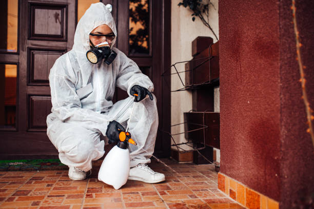 Reliable Mosquito Control contractor in Blue Ridge, VA by Show Me Pest Control